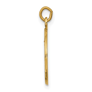 14K Yellow Gold Our Lady of Mount Carmel Medal Charm