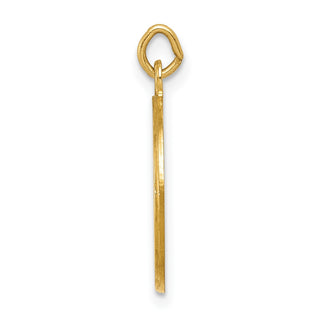 14k Yellow Gold Confirmation Medal Charm XR358