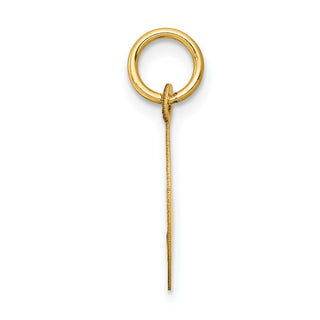 14k Yellow Gold Holy Communion Disc Charm XR367