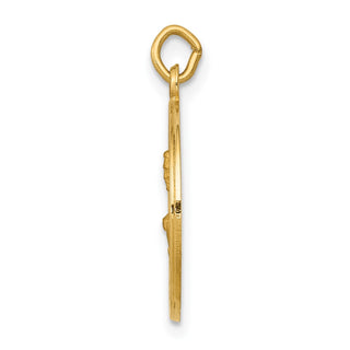 14K Yellow Gold Saint John Medal Charm XR399