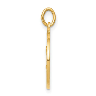 14K Yellow Gold Saint Matthew Medal Charm XR402