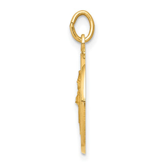 14K Yellow Gold Saint Patrick Medal Charm XR404
