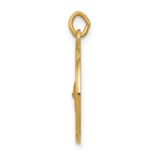 14K Yellow Gold Saint Gerard Medal Charm XR406