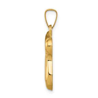 14k Yellow Gold Chai Pendant XR420