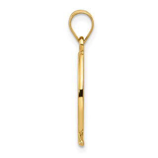 14k Yellow Gold Ichthys Fish Pendant XR452