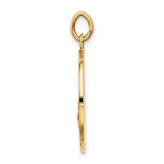 14k Yellow Gold Our Lady Of San Juan Medal Pendant