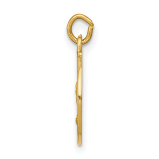 14K Yellow Gold Saint Andrew Medal Charm XR615