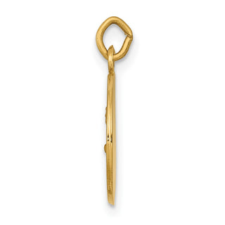 14K Yellow Gold Saint John Medal Charm XR619