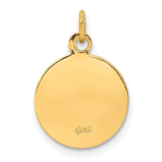 14k Yellow Gold Saint Martha Medal Pendant XR629