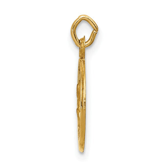 14K Yellow Gold Saint Peter Medal Charm XR633