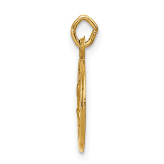 14K Yellow Gold Saint Peter Medal Charm XR633