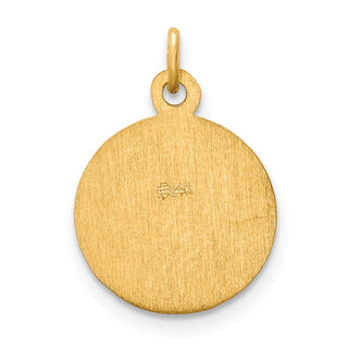 14K Yellow Gold Saint Peter Medal Charm XR633