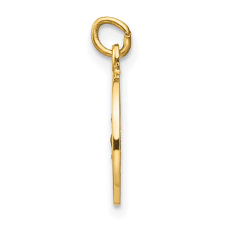14K Yellow Gold Saint Roch Medal Charm XR635