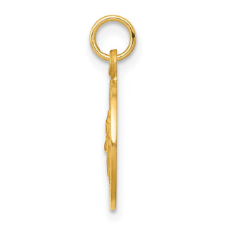 14K Yellow Gold Saint Patrick Medal Charm XR637
