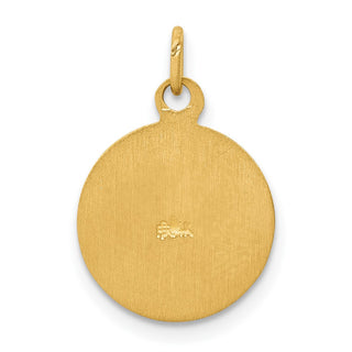 14K Yellow Gold Saint Patrick Medal Charm XR637