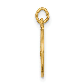 14K Yellow Gold Our Lady of Lourdes Medal Charm