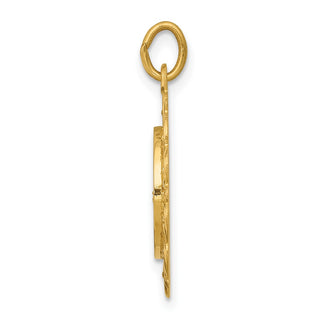 14k Yellow Gold Our Lady of Lourdes Medal Pendant - 24 x 19mm, Polished, Satin & Engravable