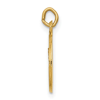 14K Yellow Gold Our Lady of Mt. Carmel Medal Charm XR651