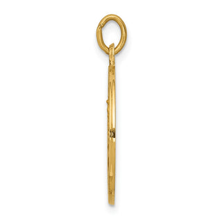 14K Yellow Gold Our Lady of Mt. Carmel Medal Charm XR652