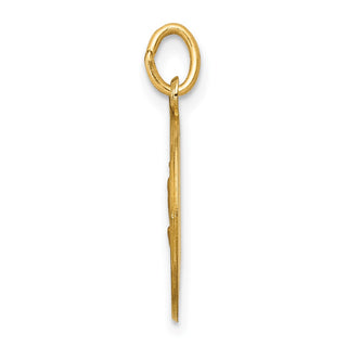 14K Yellow Gold Our Lady of Fatima Medal Charm XR665