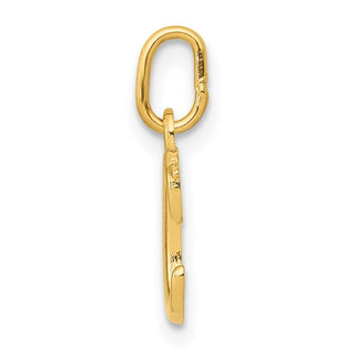 14k Yellow Gold Yellow Gold Initial Charm YC1060C