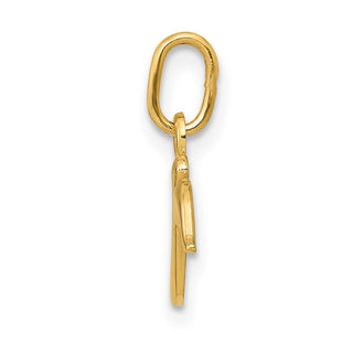 14k Yellow Gold Yellow Gold Initial Charm YC1060R