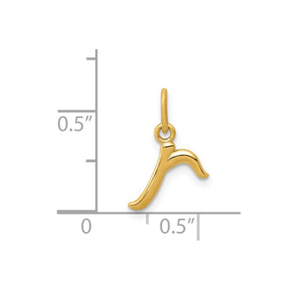 14k Yellow Gold Yellow Gold Initial Charm YC1060R
