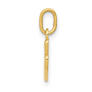 14k Yellow Gold Yellow Gold Initial Charm YC1060V