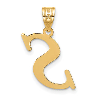 14k Yellow Gold Polished Letter S Initial Pendant