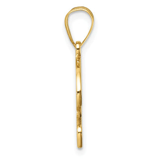 14K Yellow Gold Script Letter P Initial Pendant YC1540P