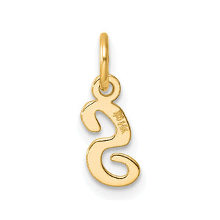 14K Yellow Gold Small Script Letter S Initial Charm