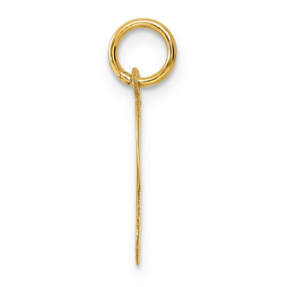 14k Yellow Gold Initial D Charm YC248D