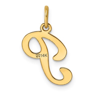 14k Yellow Gold Initial P Charm YC248P