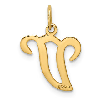 14k Yellow Gold Initial V Charm YC248V