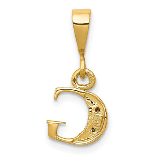 14k Yellow Gold and Rhodium Polished .01ctw Diamond Initial G Pendant