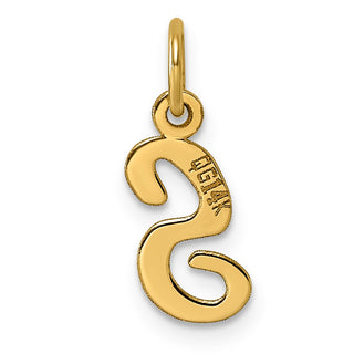 14k Yellow Gold Small Script Initial S Charm