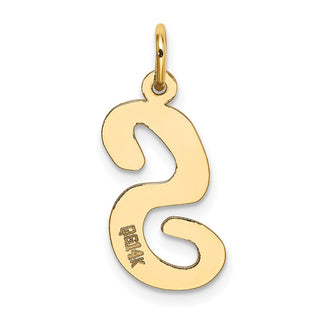 14k Yellow Gold Large Script Initial S Charm
