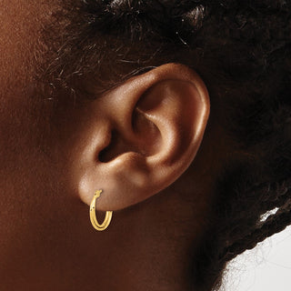 14k Yellow Gold 12.9mm Diamond-cut Polished Double Hoop Earrings