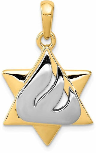 14k Yellow and White Gold Star Of David Pendant K1275